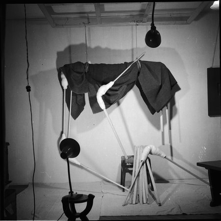 Geta Bratescu, Image 8