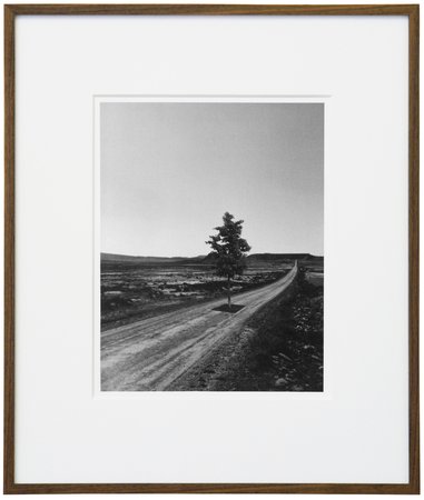 Mandla Reuter, Image 80