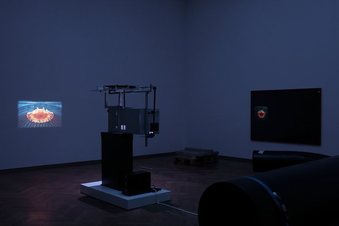 Mandla Reuter, Image 14