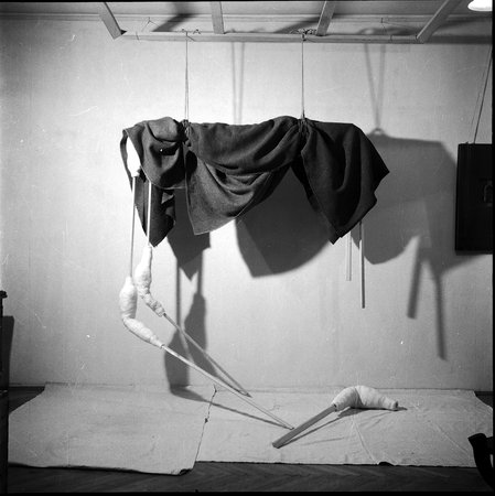 Geta Bratescu, Image 10