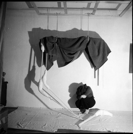 Geta Bratescu, Image 9