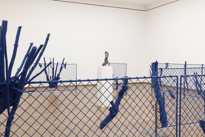 Christian Kosmas Mayer, Image 24