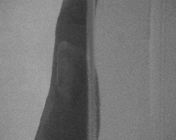 Marzena Nowak, Image 50