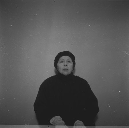 Geta Bratescu, Image 12
