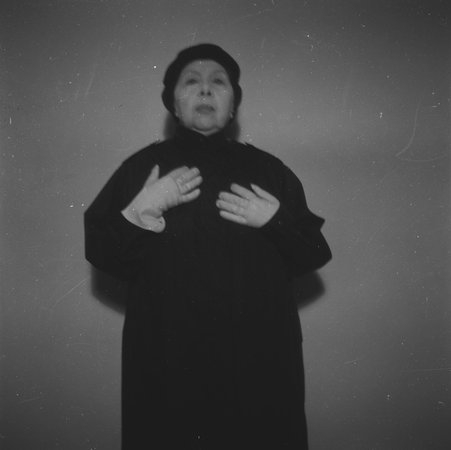 Geta Bratescu, Image 17