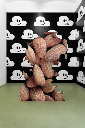 Michael Hakimi: Nuts should chew themselves!, 10.04–31.05.2013, Image 2