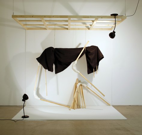 Geta Bratescu, Image 28