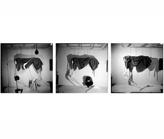 Geta Bratescu, Image 7