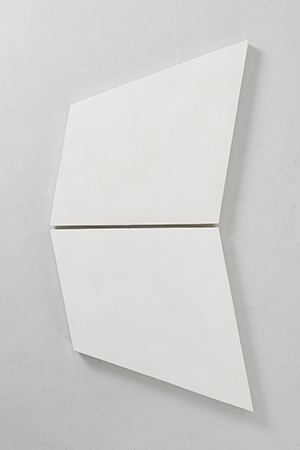 Mai-Thu Perret, Image 7