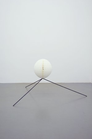 Manuel Gorkiewicz, Image 6