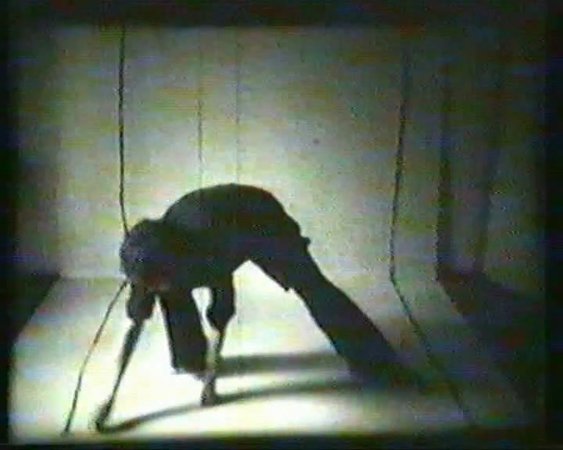 Geta Bratescu, Image 6